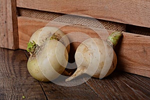 Turnip photo
