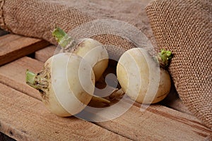 White turnip photo