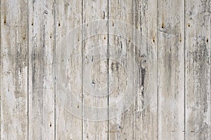 White rustic wood background. Vintage texture.