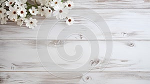 white rustic wooden texture table top view with blossoming daisies spring flowers and scattered petals, with copy space