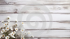 white rustic wooden texture table top view with blossoming daisies spring flowers and scattered petals, with copy space