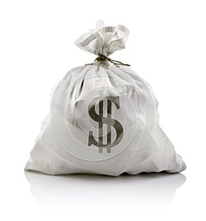 White sack with dollars money