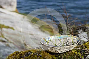 White Sage Smudge Kit and Ocean Background