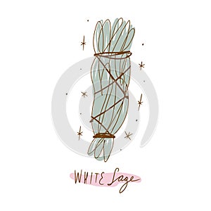 White sage spiritual aromatherapy relax herb dry Incense, smudge stick for sacred rituals, spirit practices, fumigation