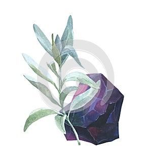 White sage watercolor herbal illustrations wit crystal, botanical organic leaves drawing elements sage. Realistic