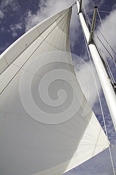 White Sail