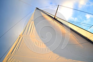 White sail