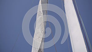 white sail develops in the wind