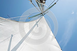 White sail of a sailing boat against sky. Sails of river sailing