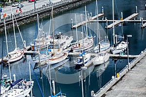 White Sailboats Docked in Seattle