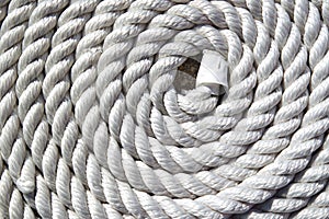 White sailor ropes
