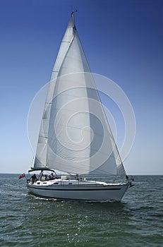 White sails photo