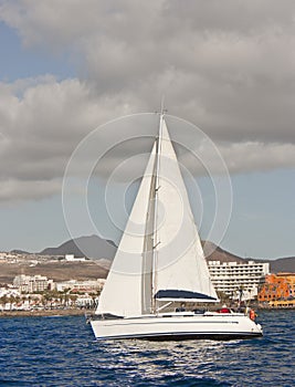 WHITE SAILS photo