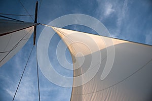 White sails against blue sky