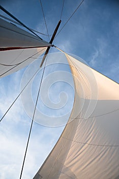 White sails against blue sky