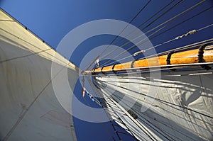 White sails, blue sky