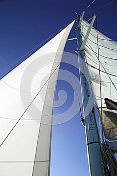 White sails, blue sky