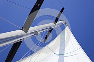 White Sails / yachting photo
