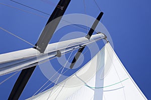 White Sails / yachting