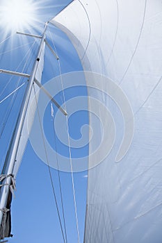 White sails of yachts