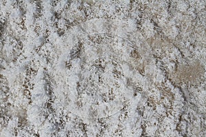 White salt crystals forming a crust on the salt lake Baskunchak