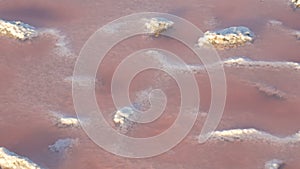 White salt deposits on the pink salt lake extraction factory Sivash in Kherson region, Ukraine