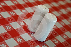 White Salt and Pepper Shakers on Table