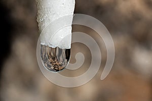 White salt stalactite with a drop of water