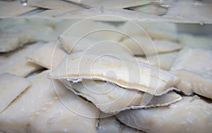 White salted and dried bacalao codfish is watertank, traditional Spanish food on display in fish shop