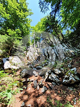 White and Samarian rocks