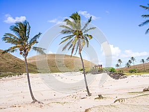 The white Sand in the Anakena beach