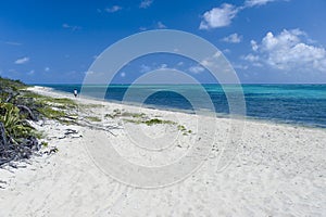 White Sand Beach