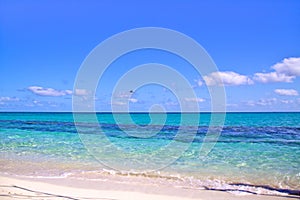 White sand beach with amazingly clear water, Heron Island Australia