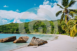 White sand beach, coconut palms and blue lagoon of tropical island, Anse Takamaka beach, Seychelles