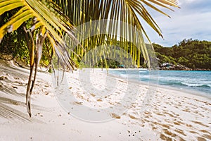 White sand beach with coconut palms on tropical island, Anse Takamaka beach, Seychelles