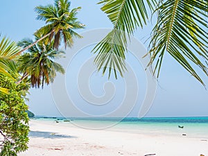 White sand beach coconut trees and palm frond, turquoise blue water, tropical paradise, travel destination, Kei Island, Moluccas,