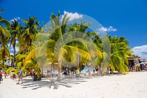 White sand beach with cocos palms, Isla Mujeres island, Caribbean Sea, Cancun, Yucatan, Mexico