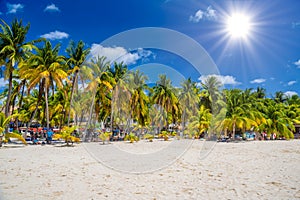 White sand beach with cocos palms, Isla Mujeres island, Caribbean Sea, Cancun, Yucatan, Mexico