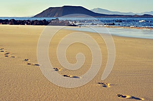 White sand beach in Corralejo, Fuerteventura, Cana photo
