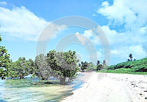 White sand beach front covered with mangrooves