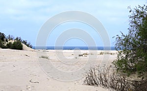 White Sand Beach landscape