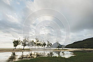 White sand beach and Le Morne Brabant mountain, Mauritius beach panorama.