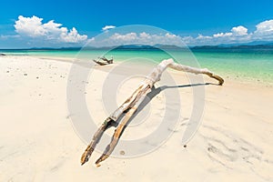 White sand beach and Long-tail boat at Khang Khao Island Bat island, The beautiful sea Ranong Province, Thailand