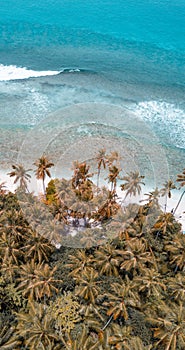 White Sand Beach On Maldives Tropical Island