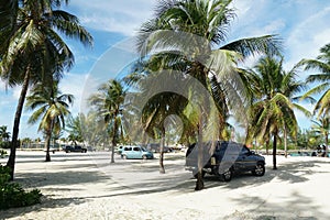 A White sand beach with palm trees in Nassau on a tropical Bahamian island in the Caribbean Sea.