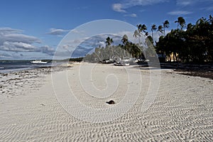 White Sand Beach Panglao, Philippines
