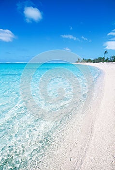 White Sand Beach in Polynesia