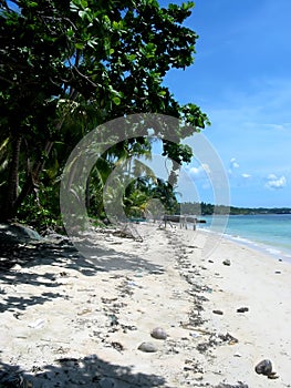 White Sand Beach in Santa Fe Bantayan Island Cebu Philippines Photo photo