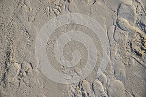 White sand beach texture. Sea coast top view photo. Sea sand with step mark texture. Smooth sand surface with foot marks