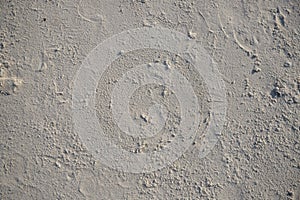 White sand beach texture. Seaside top view photo. Dense sea sand natural texture. Smooth sand surface with step marks.